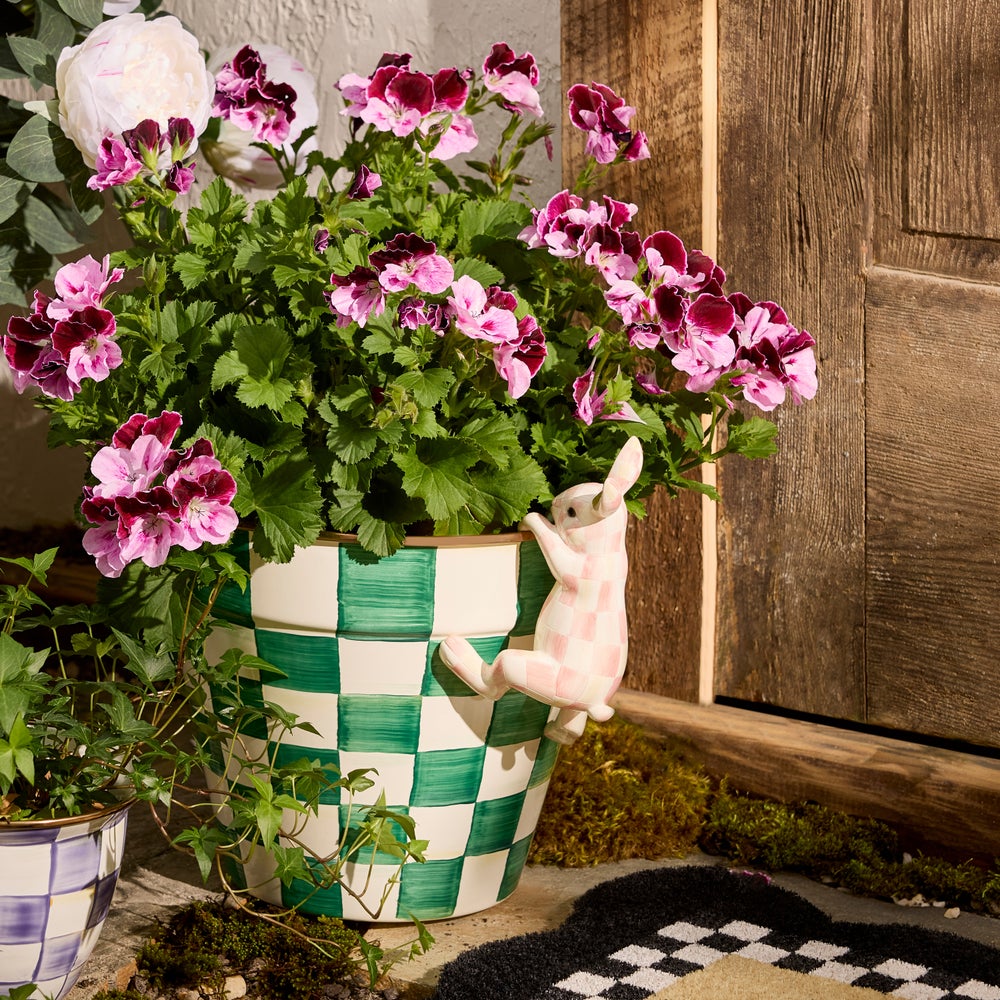 Funny Bunny Pot Climber