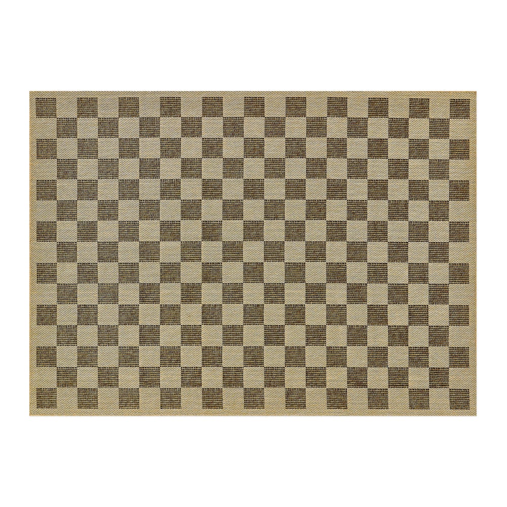 Checked Indoor/Outdoor Rug
