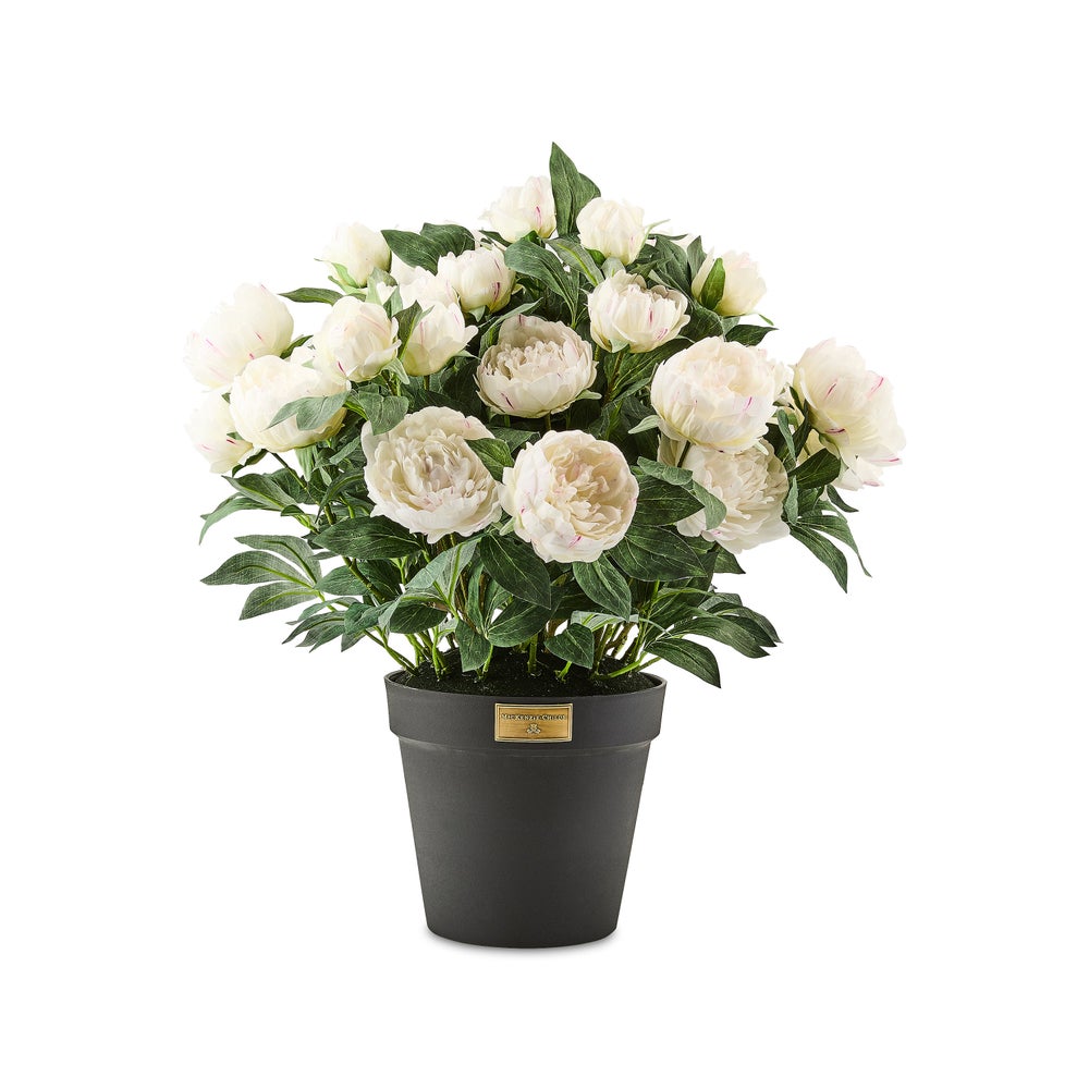 Peony Urn Filler