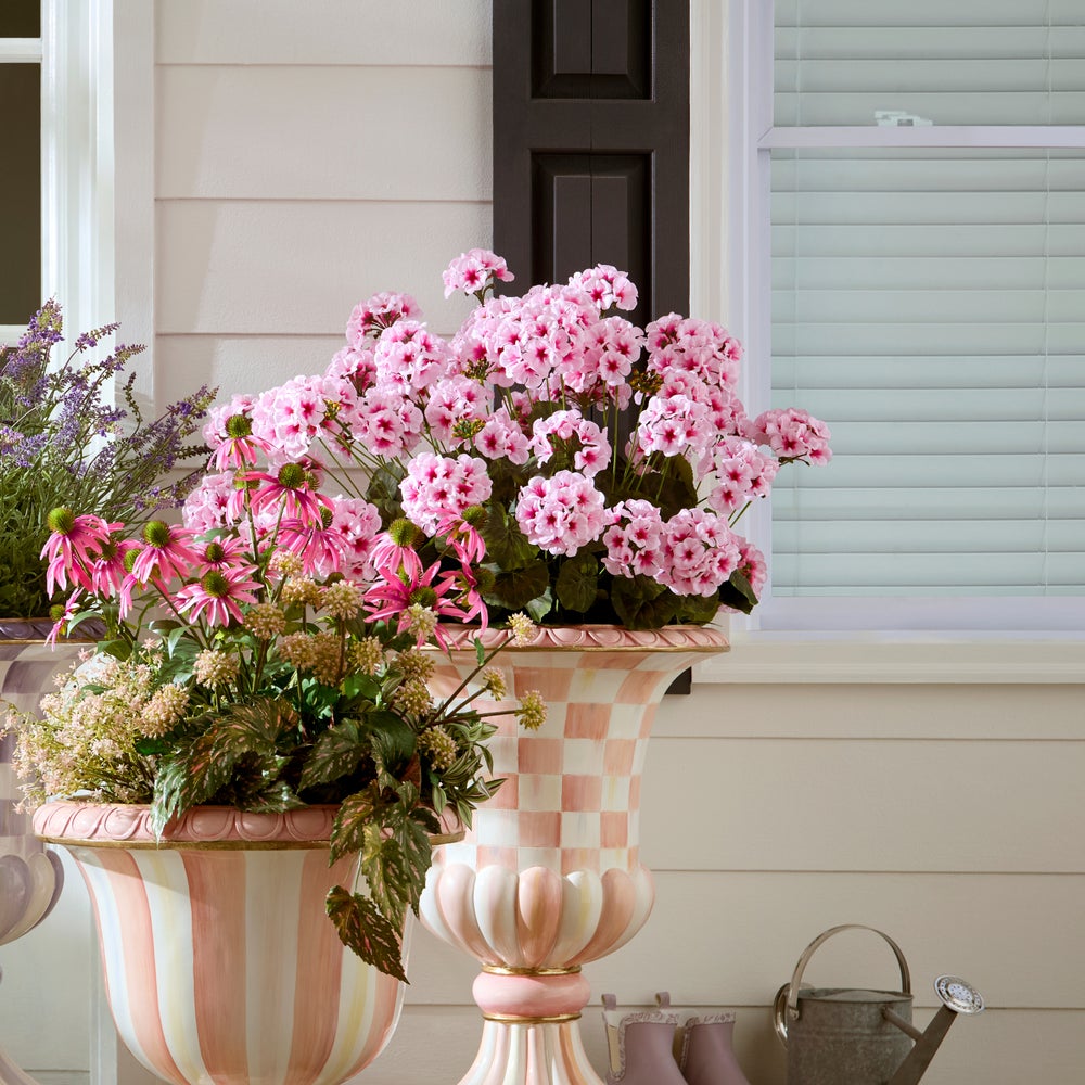 Geranium Urn Filler