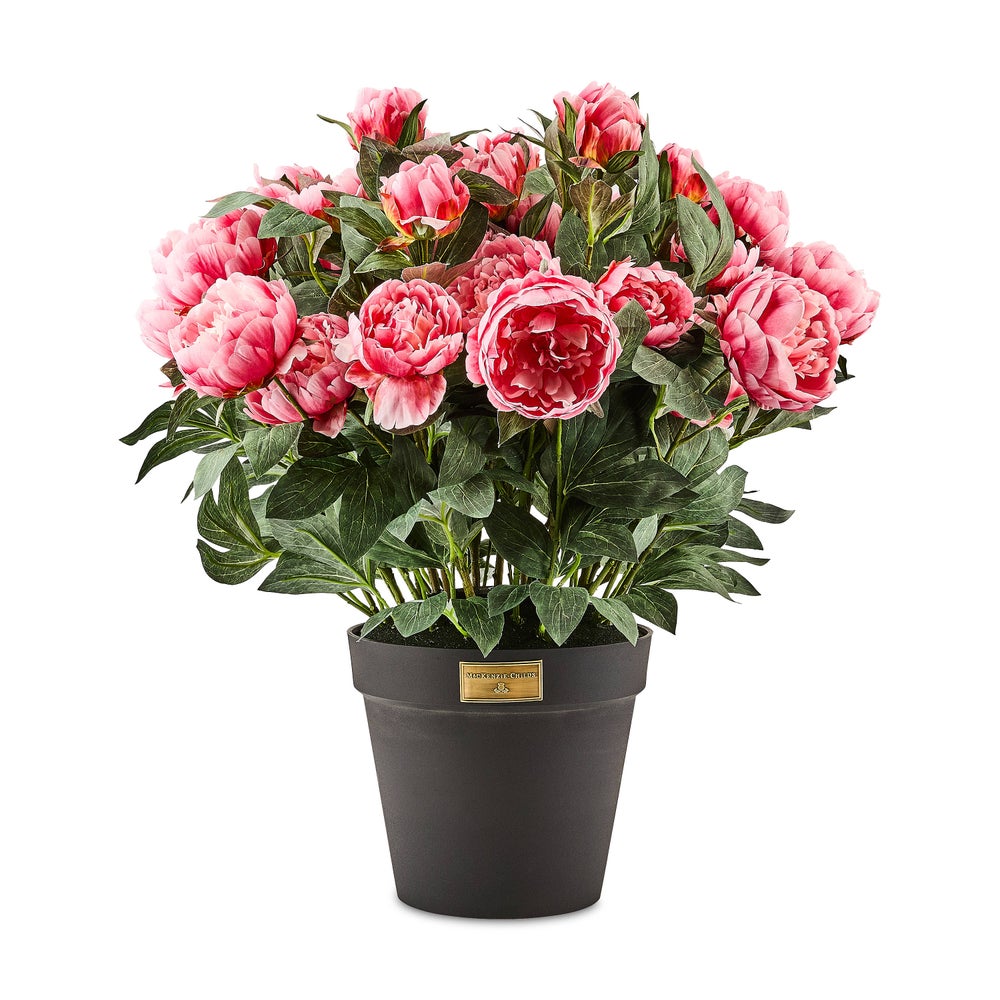 Peony Urn Filler
