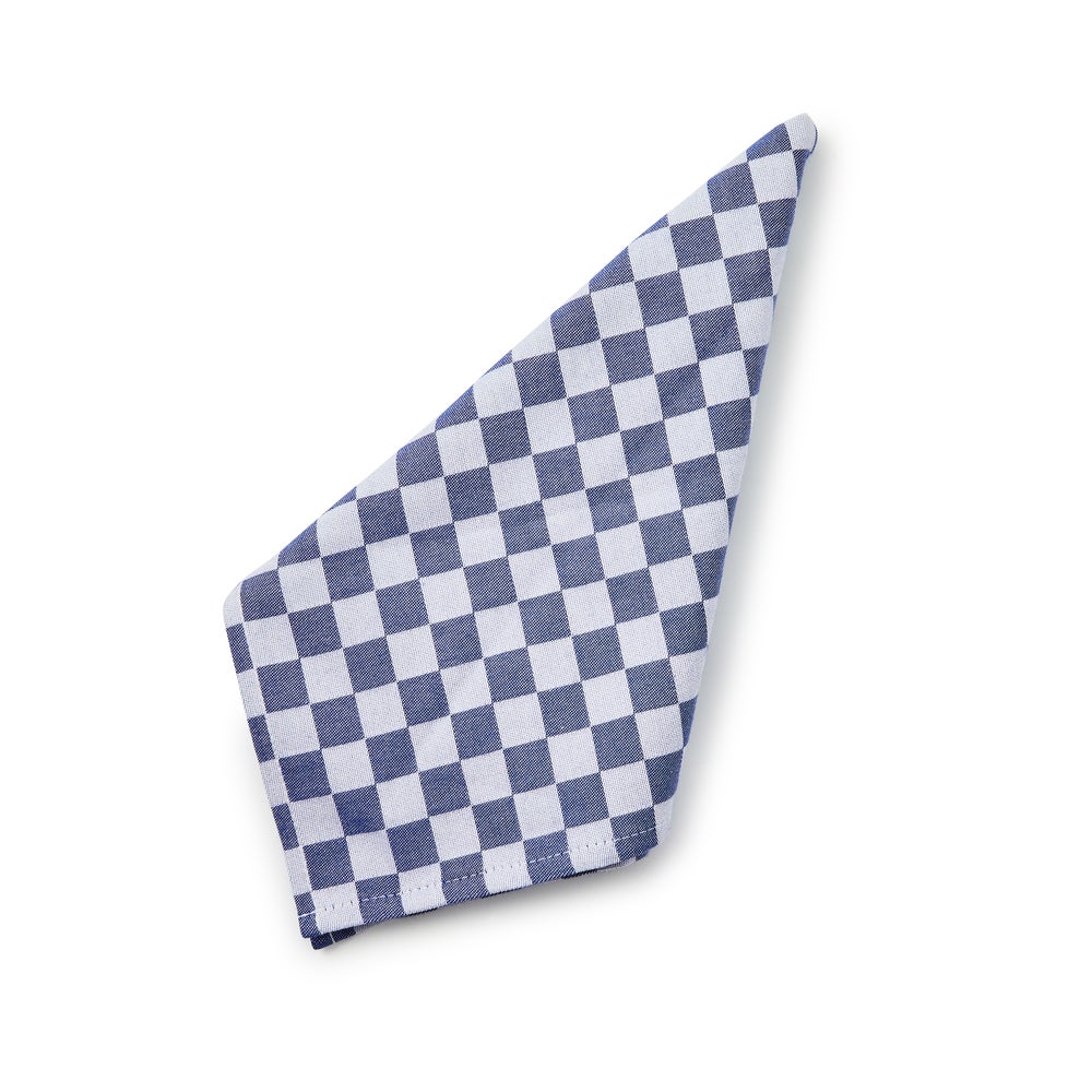 Check Woven Napkins, Set of 4