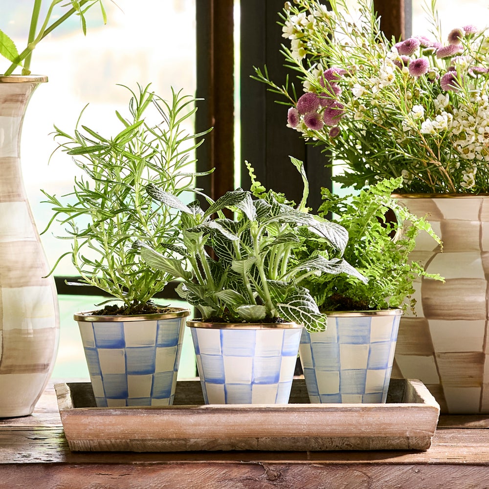 Herb Pots, Set of 3